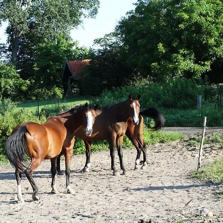 Gospodarstwo agroturystyczne Dom Gościnny Gietrzwałd